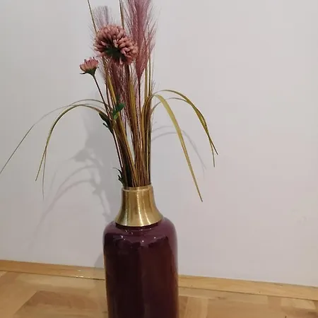 Apartment Carmen Deluxe