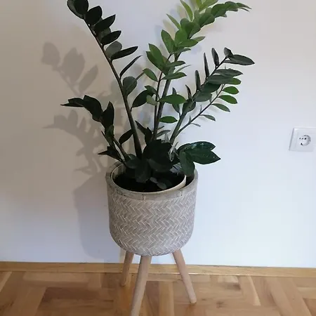 Carmen Deluxe Apartment