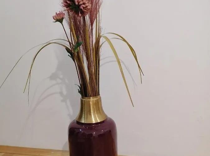 Apartman Carmen Deluxe